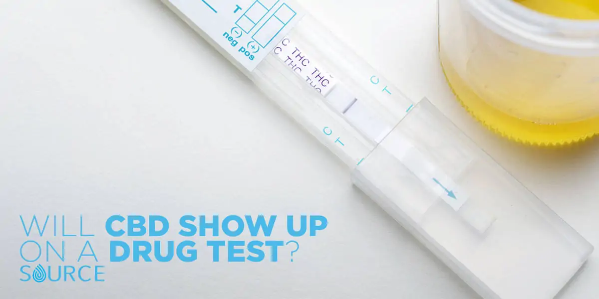does CBD show up on a drug test