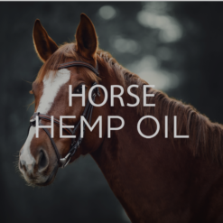 Horse Hemp Oil