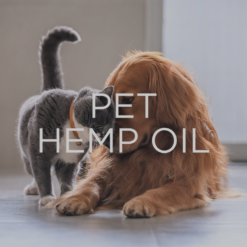 Pet Hemp Oil