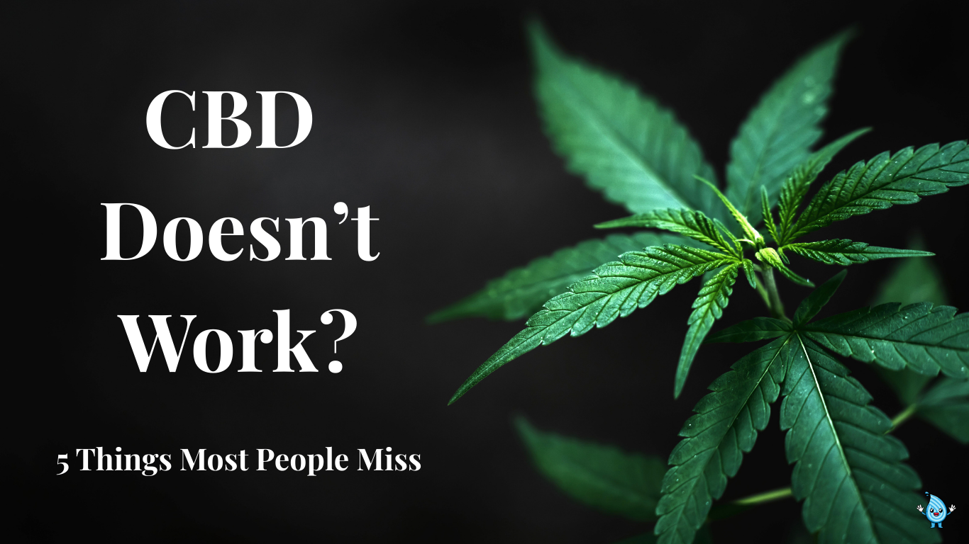 CBD doesn’t work? Black background with growing hemp leaf and text overlay: 5 Things Most People Miss