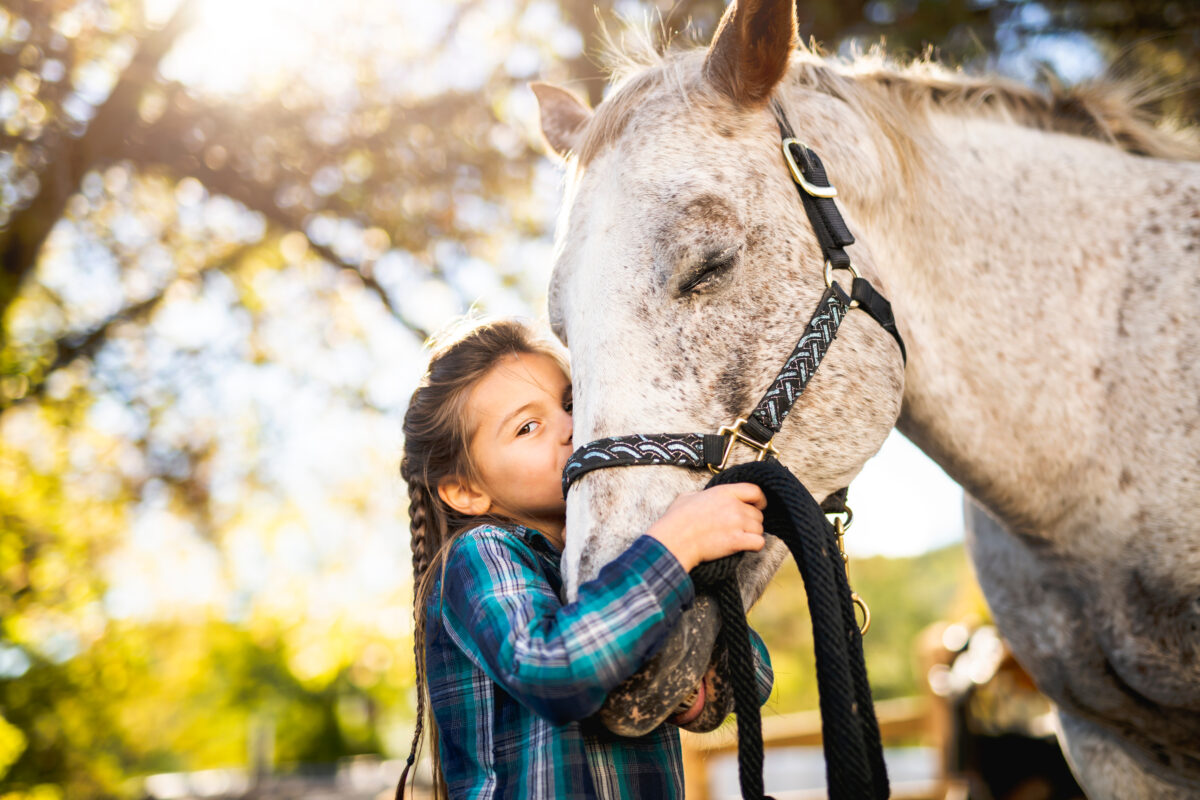 Little girl gently kissing a horse on the nose in a calm outdoor setting