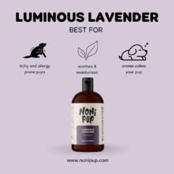 Nonipup Lavender Dog shampoo