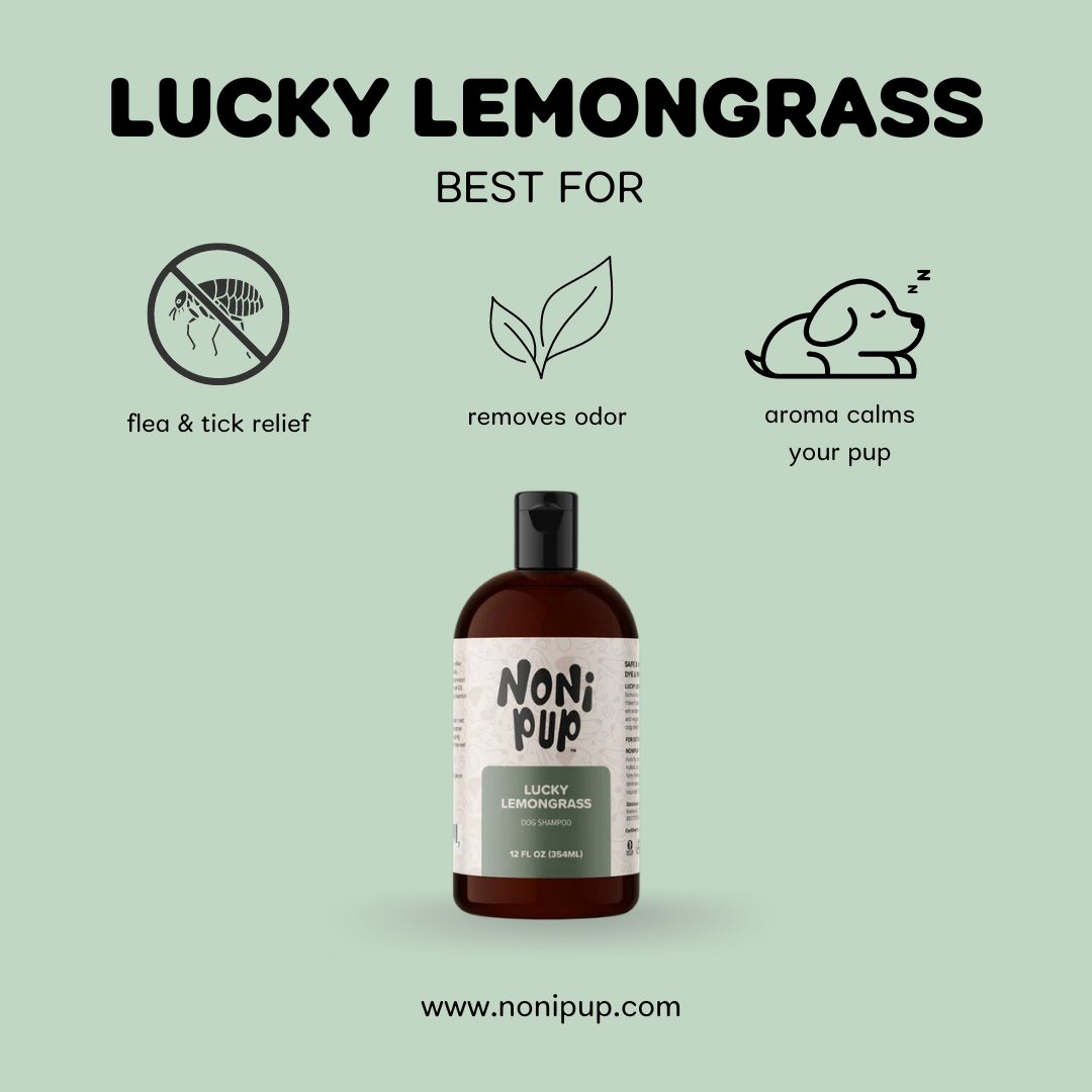 Nonipup Lucky Lemongrass dog shampoo bottle with flea and tick relief, odor removal, and calming aromatherapy benefits