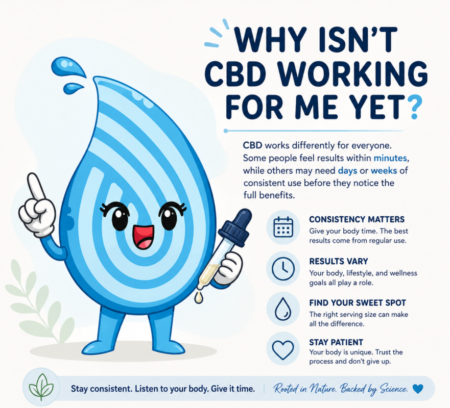 Cartoon CBD droplet mascot explaining why CBD may take days or weeks of consistent use before results are noticed.